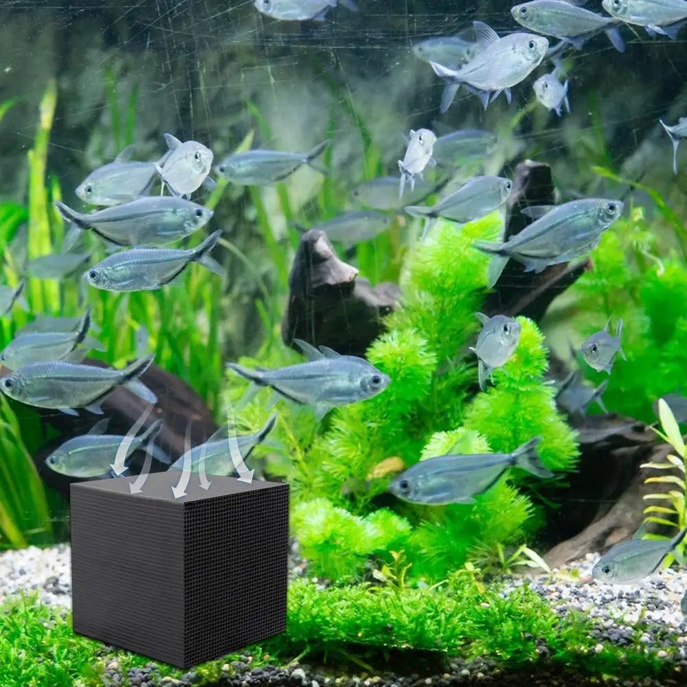 PUREHERD – Natural Organic Filtration Cube for Stable and Yard Water Systems