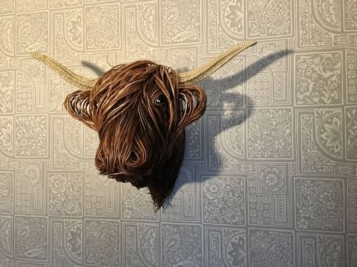 Highland Art – Rustic Cow Head Wall Decoration for a Unique Home