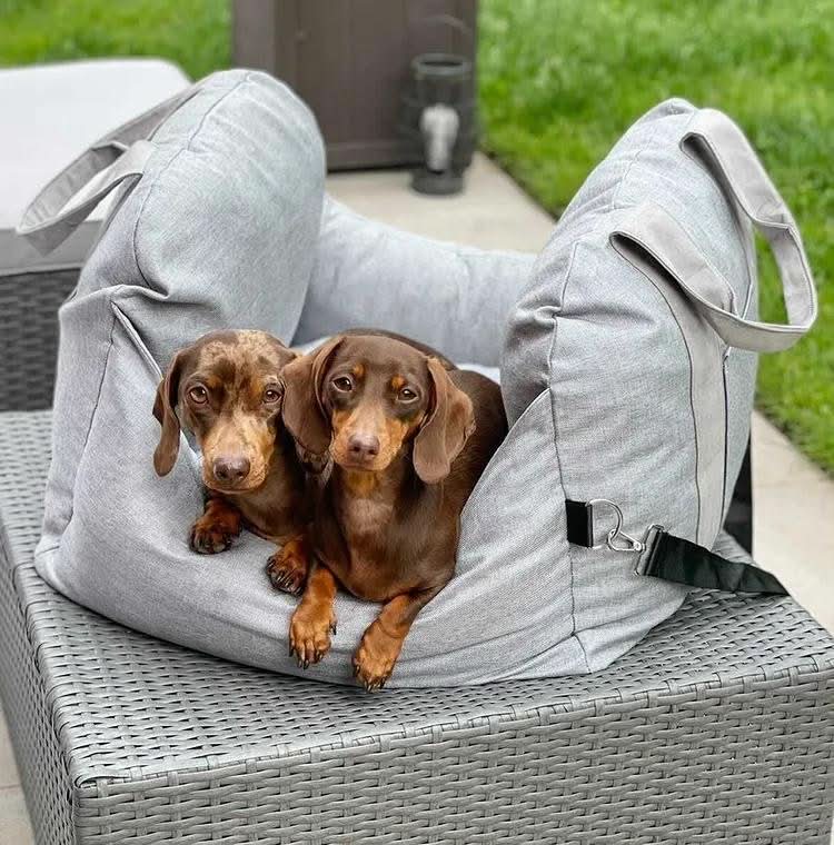ComfyRide Dog Seat - Dog seat bed with safety belt & non-slip base for car & home