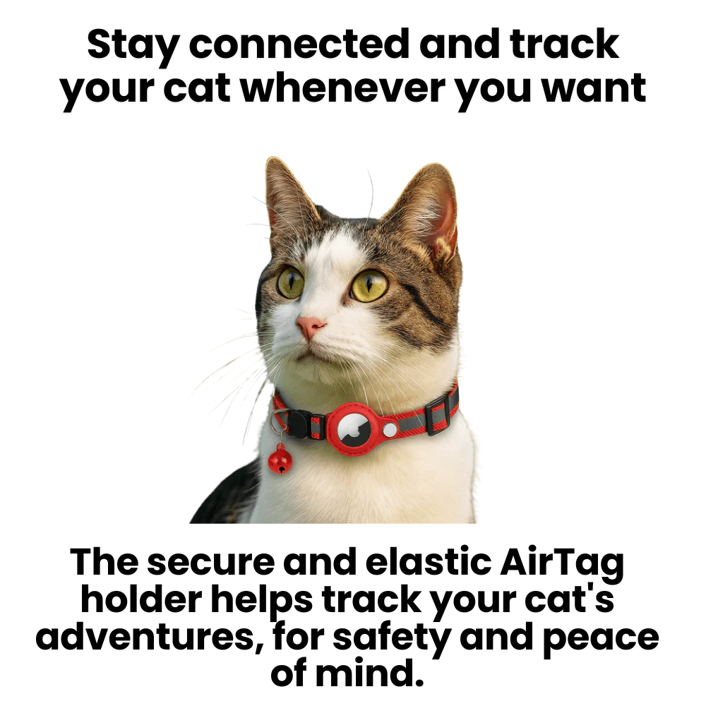 CATGUARD – GPS Collar for Cats with Reflective Design