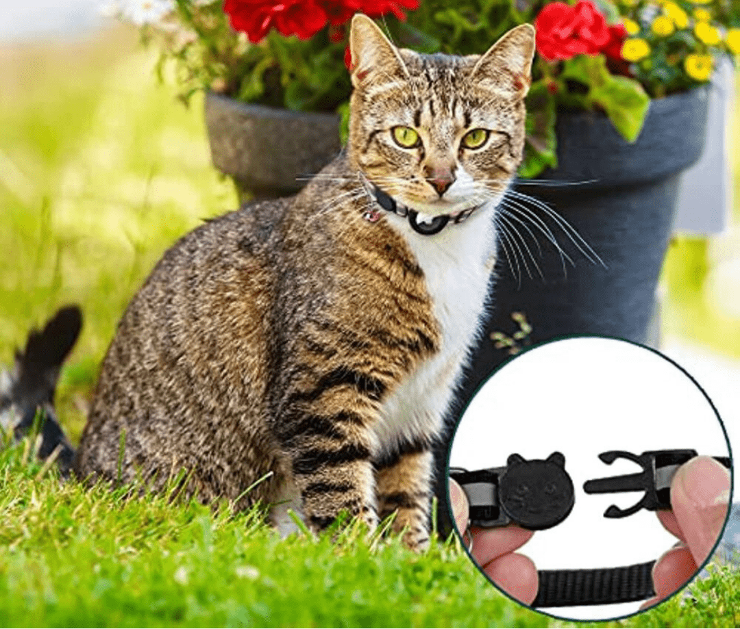 CATGUARD – GPS Collar for Cats with Reflective Design