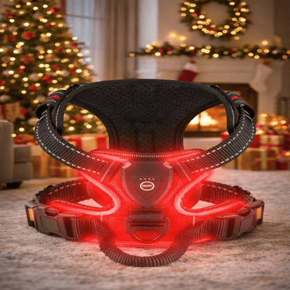 ILLUMI DOGTREK – Rechargeable LED Dog Harness for Increased Safety at Night
