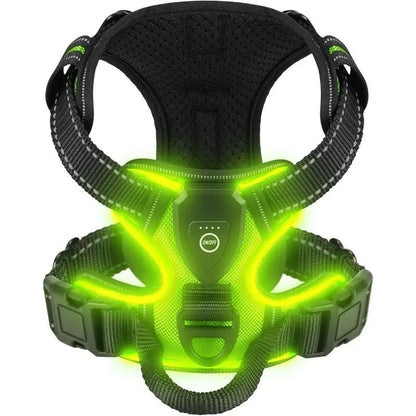 ILLUMI DOGTREK – Rechargeable LED Dog Harness for Increased Safety at Night