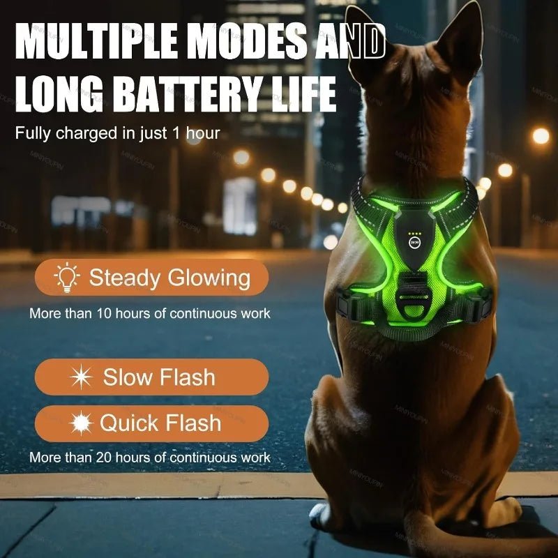 ILLUMI DOGTREK – Rechargeable LED Dog Harness for Increased Safety at Night