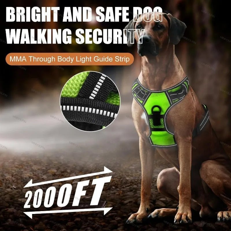ILLUMI DOGTREK – Rechargeable LED Dog Harness for Increased Safety at Night