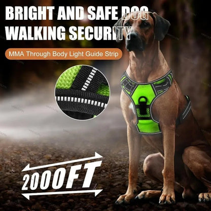 ILLUMI DOGTREK – Rechargeable LED Dog Harness for Increased Safety at Night