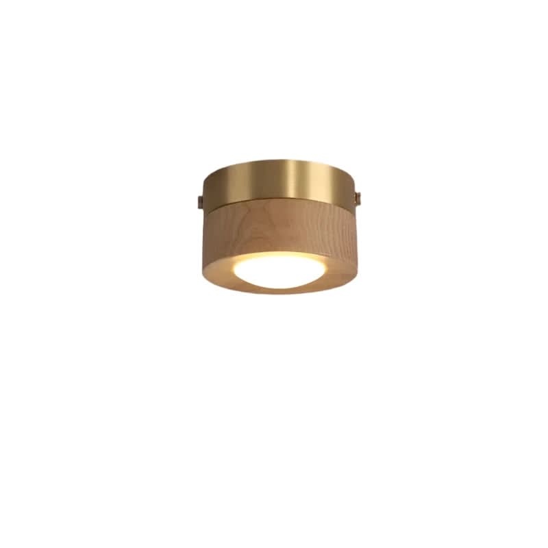 EmberLED – Energy-saving Walnut Light Solution