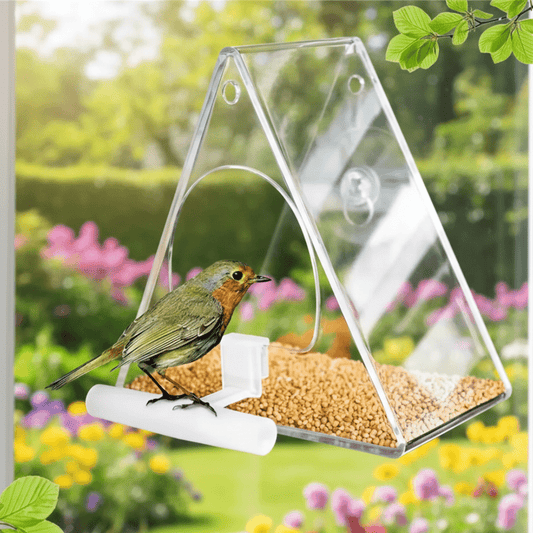 TRIFEED – Acrylic bird feeder for outdoors, triangular wind protection design