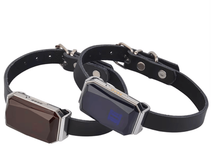 MiniTrack G12 - real-time GPS tracker for maximum safety in everyday life