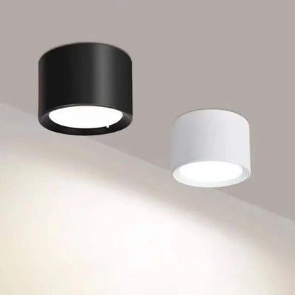 NordicGlow – Modern LED Ceiling Light in Black & White