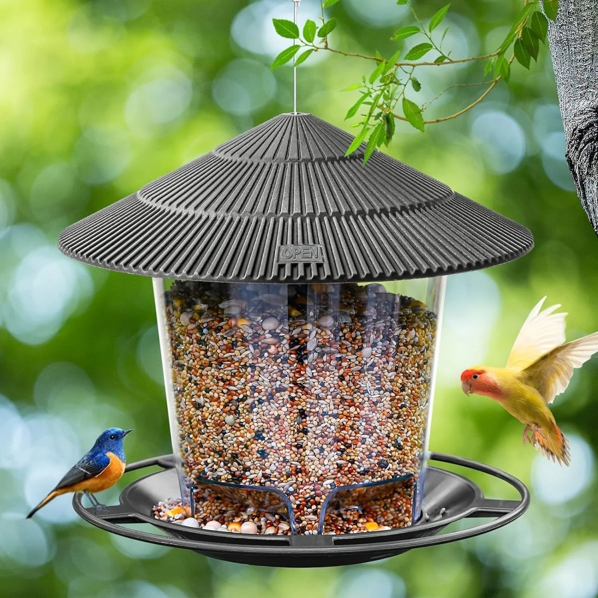 HOLEFEED – Automatic bird feeder with multi-hole nut dispenser