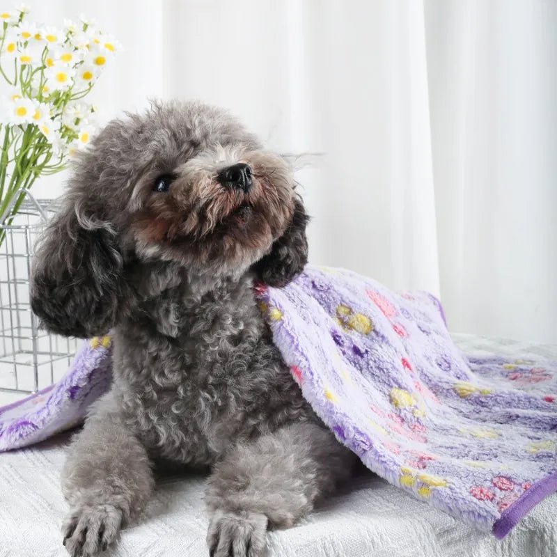 PAWSOFT – Plush Flannel Pet Blanket with Paw Design, Cozy & Easy Care