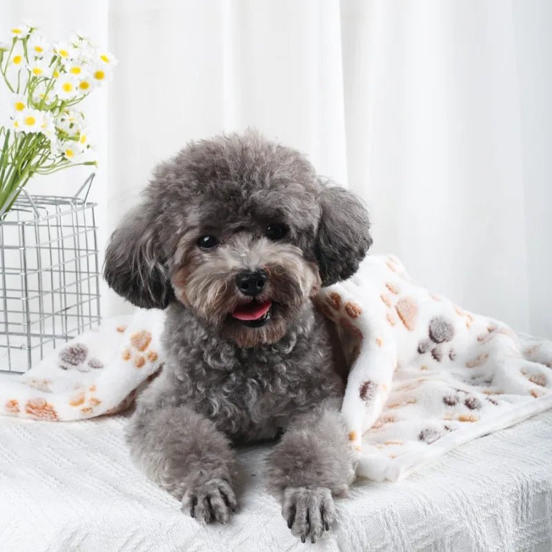 PAWSOFT – Plush Flannel Pet Blanket with Paw Design, Cozy & Easy Care