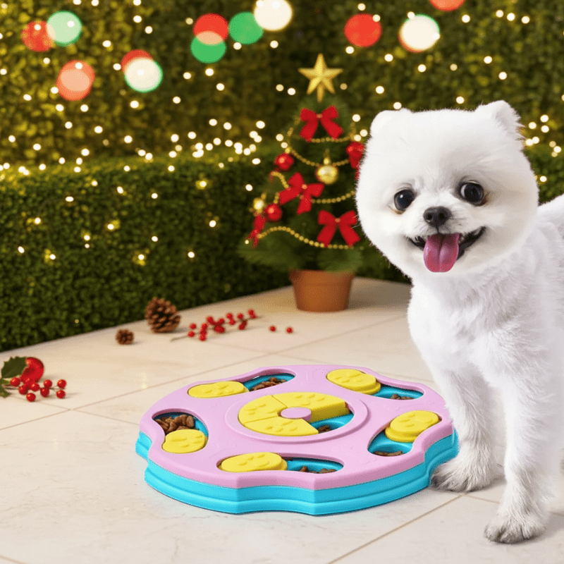 MEAL MAZE – Slow Feeding Puzzle for All Pet Sizes