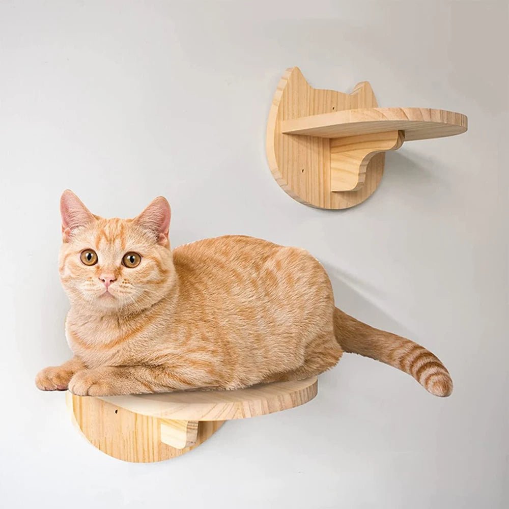 PINEPAWLOFT – Cat wall shelves made of natural wood with cozy fabric padding