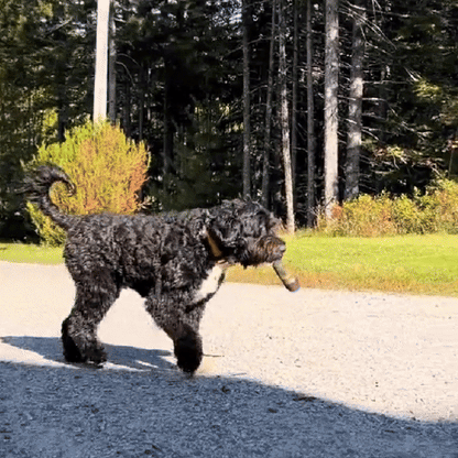 SPLIFFYPUP – Plush Joint Toy for Playful Puppies