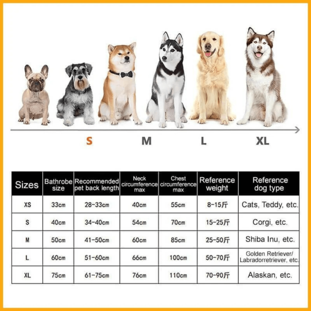 DRYTAIL – Dog Coat for Comfort and Quick Drying