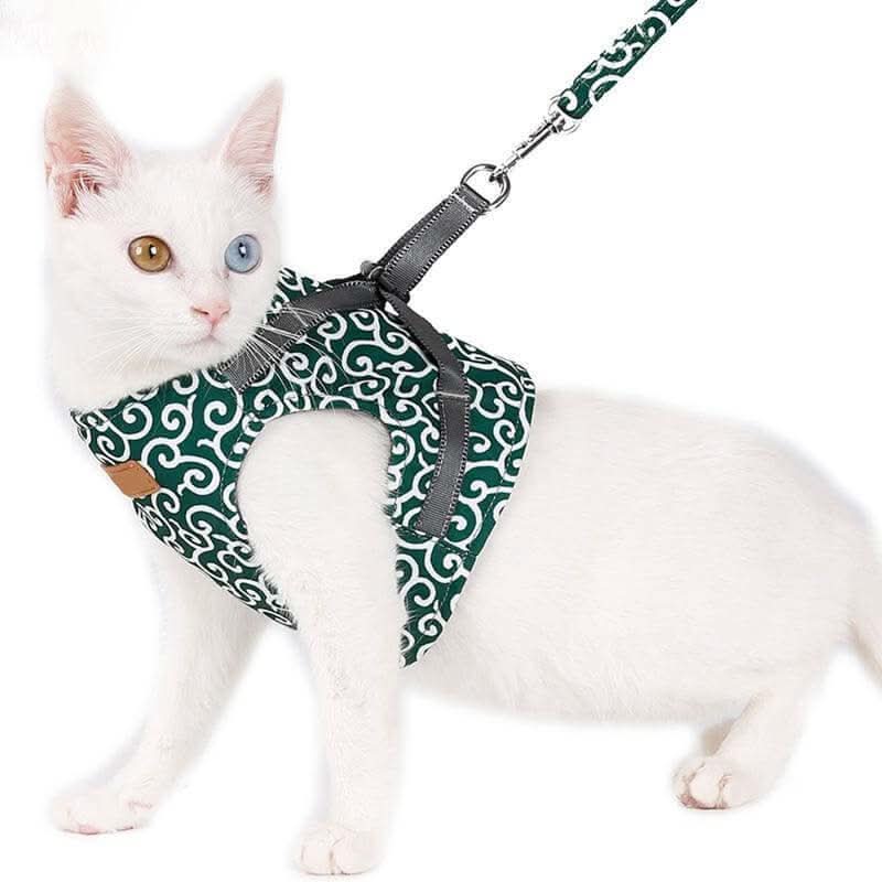 PAWVENTURE – Cat Harness Vest for Safety & Comfort