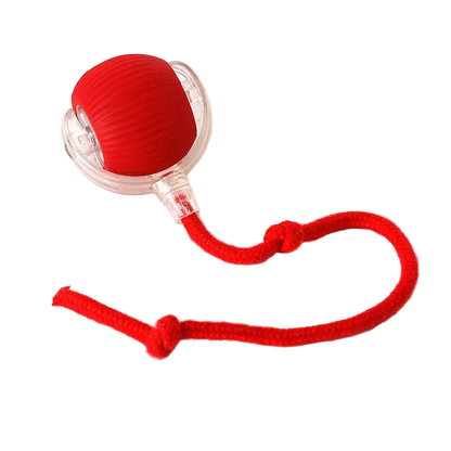 PlayPet Interactive Dog Ball - Rechargeable Bouncing Ball