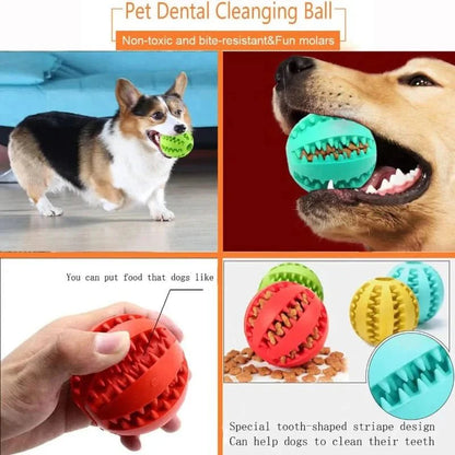 PLAYNIBBLE BALL – Interactive Treat Ball & Chew Ball for Dogs