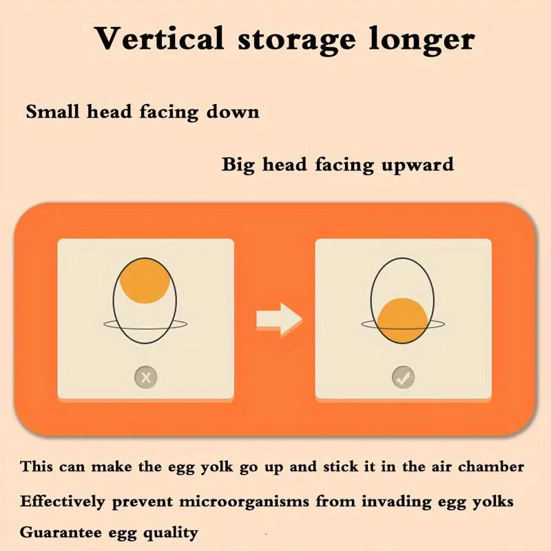 EGGSTACK – 2-layer refrigerator egg box with drawers and 32-capacity