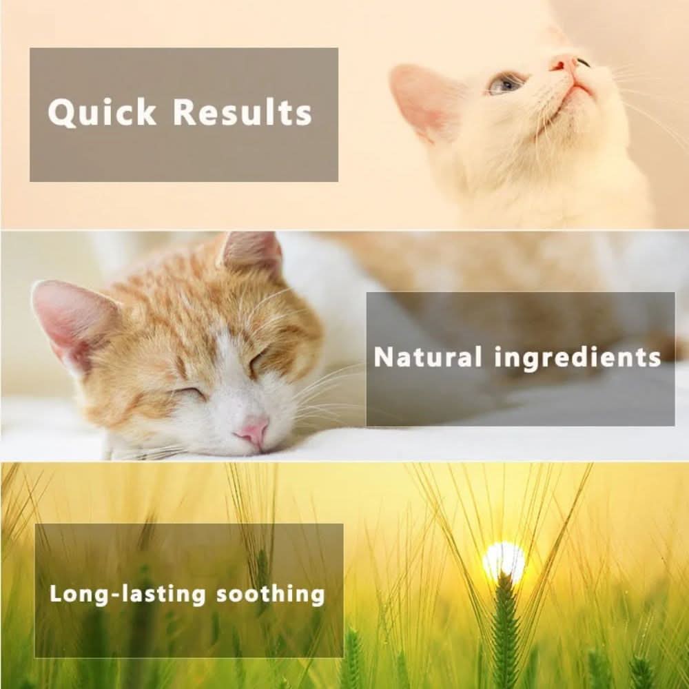 DEFENSCOLLAR – Flea & Tick Protection Collar for Dogs & Cats