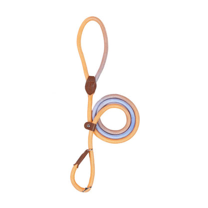 COLORLEASH – Colorful Dog Leash for Stylish Walks