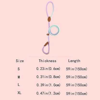 COLORLEASH – Colorful Dog Leash for Stylish Walks