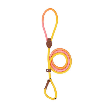 COLORLEASH – Colorful Dog Leash for Stylish Walks