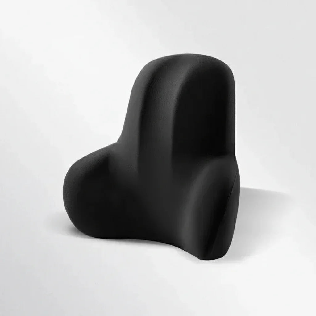 AUTOERGON – Memory Foam Auto Neck & Lumbar Support for Ergonomic Seating Comfort