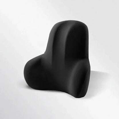 AUTOERGON – Memory Foam Auto Neck & Lumbar Support for Ergonomic Seating Comfort