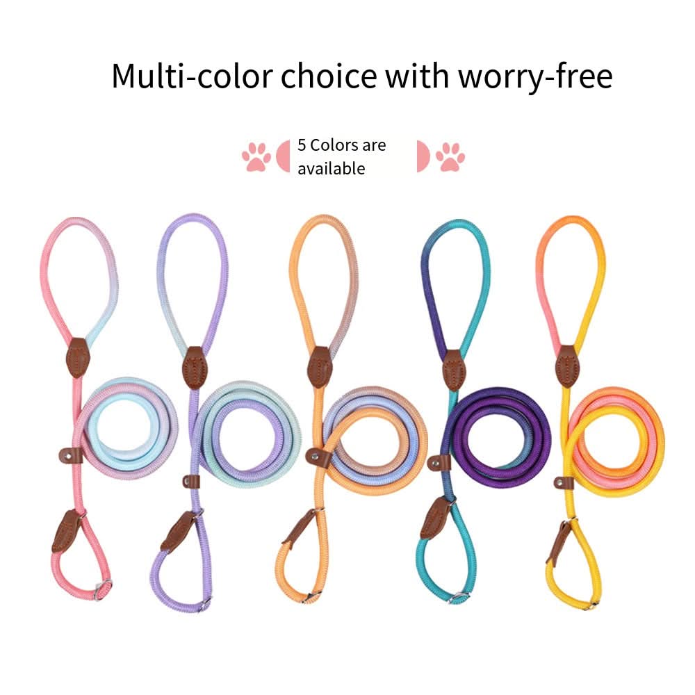 COLORLEASH – Colorful Dog Leash for Stylish Walks