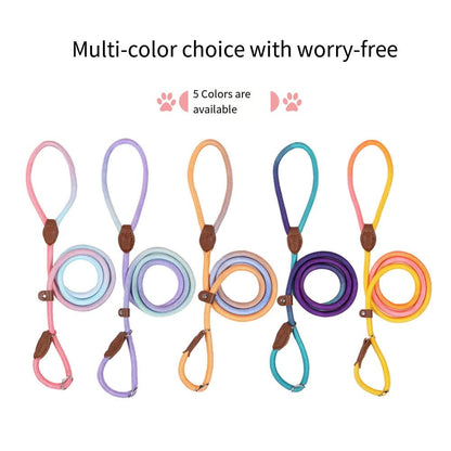 COLORLEASH – Colorful Dog Leash for Stylish Walks