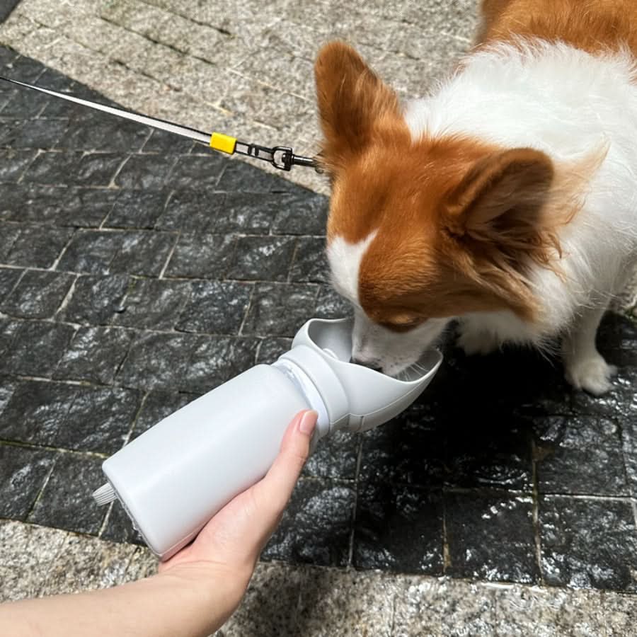 TRAILSIP – Foldable Water Bottle for Pets with 550 ml Capacity