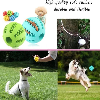PLAYNIBBLE BALL – Interactive Treat Ball & Chew Ball for Dogs