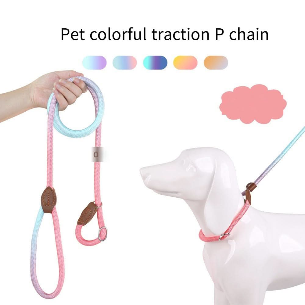 COLORLEASH – Colorful Dog Leash for Stylish Walks