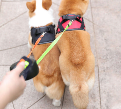 PROPET DUO - Rolling lead for two dogs with integrated torch