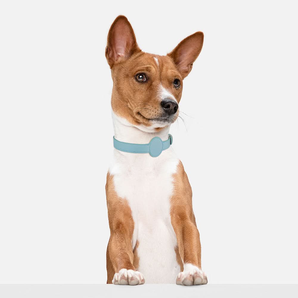 TAGSAFE – Dog Collar with Integrated AirTag Holder for Safety & Style