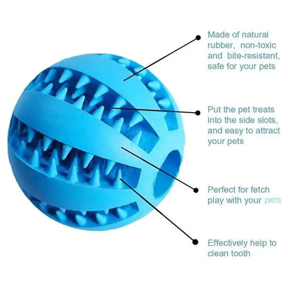 PLAYNIBBLE BALL – Interactive Treat Ball & Chew Ball for Dogs