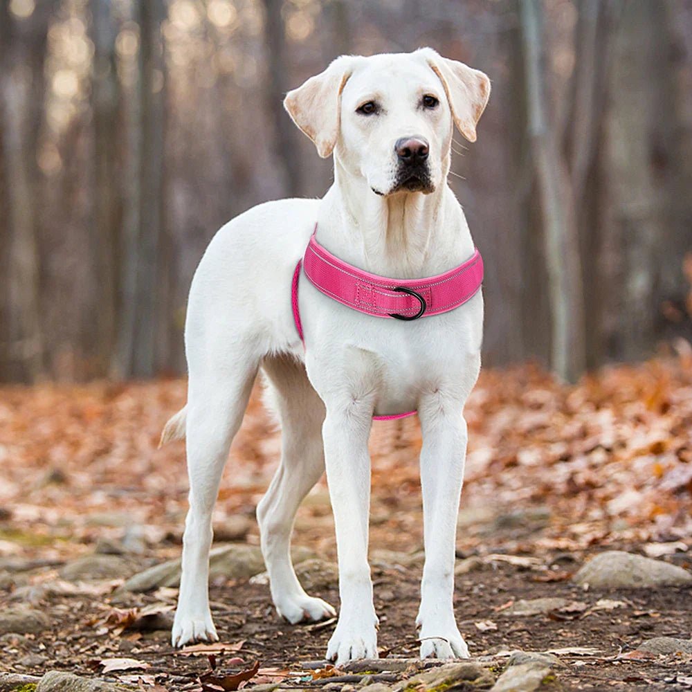 PAWGUARD – Adjustable Reflective Dog Harness with Handle for All Dog Breeds