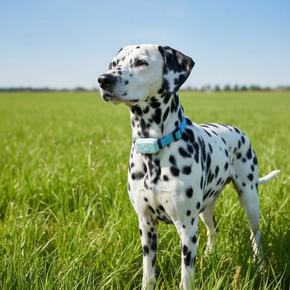 LOSTLESS – Intelligent GPS Pet Tracker with Adjustable Collar for Dogs and Cats