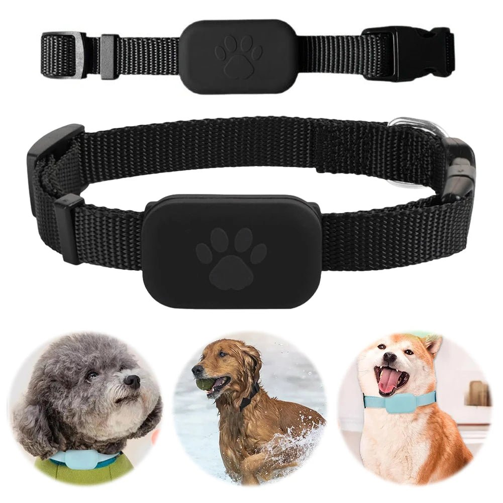 LOSTLESS – Intelligent GPS Pet Tracker with Adjustable Collar for Dogs and Cats