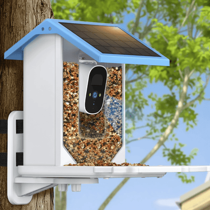 SOLARSCOUT – Solar bird feeder with intelligent 2.4K HD camera and night vision
