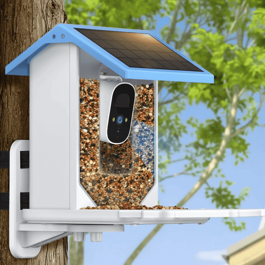 SOLARSCOUT – Solar bird feeder with intelligent 2.4K HD camera and night vision