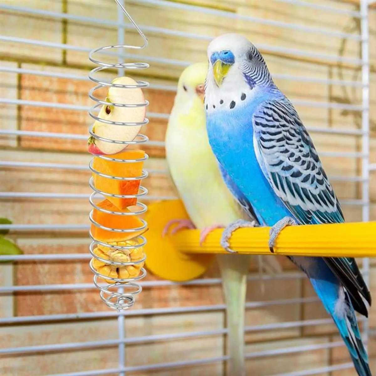 STEELSWIRL – Robust stainless steel parrot food dispenser for long-term use