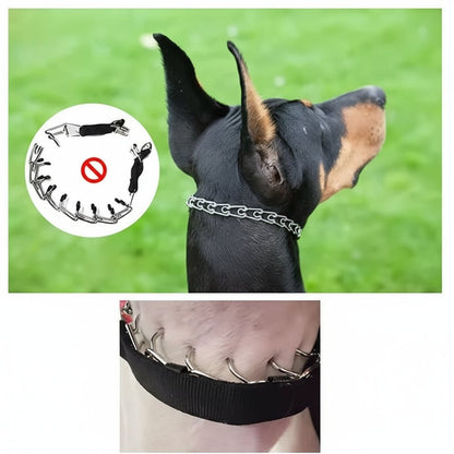 SECURELINK – Dog Training Prong Collar with Robust Steel & Soft Nylon Protection