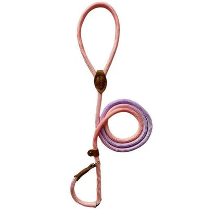 COLORLEASH – Colorful Dog Leash for Stylish Walks