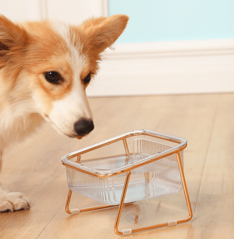 PETCHIC - Raised food bowl for cats & small dogs