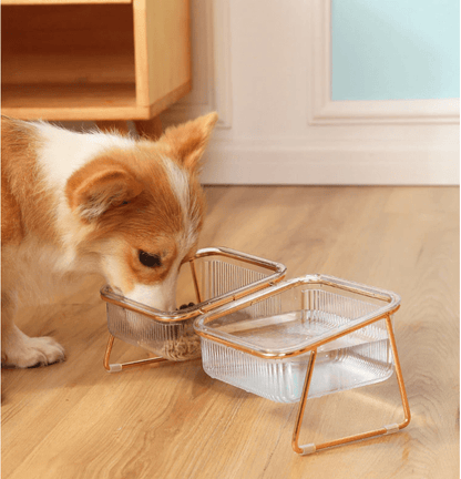 PETCHIC - Raised food bowl for cats & small dogs