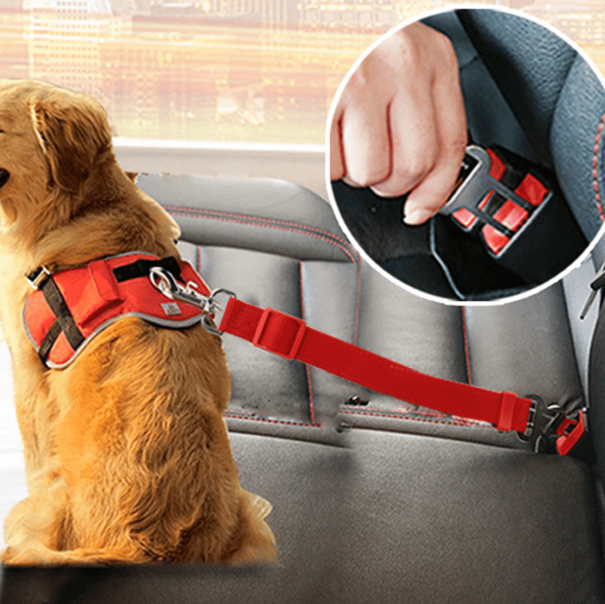 SAFEPAW - Adjustable seat belt for dogs in the car